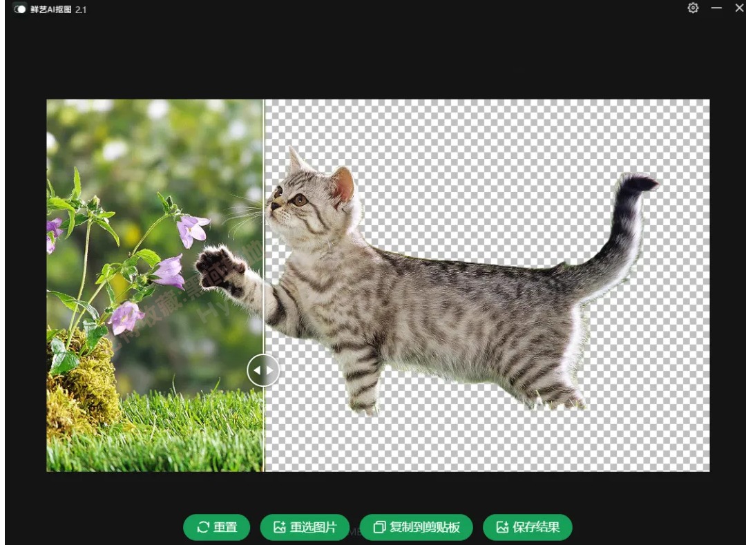 20248121235238345.jpg