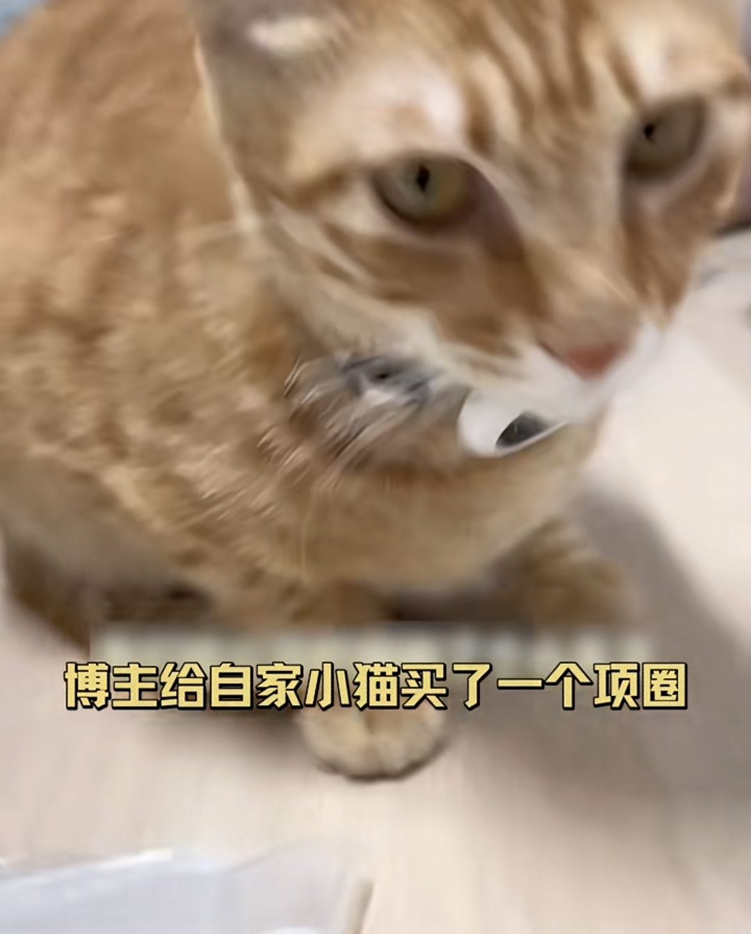 zsxq_0c548fa57007a3_01.jpg