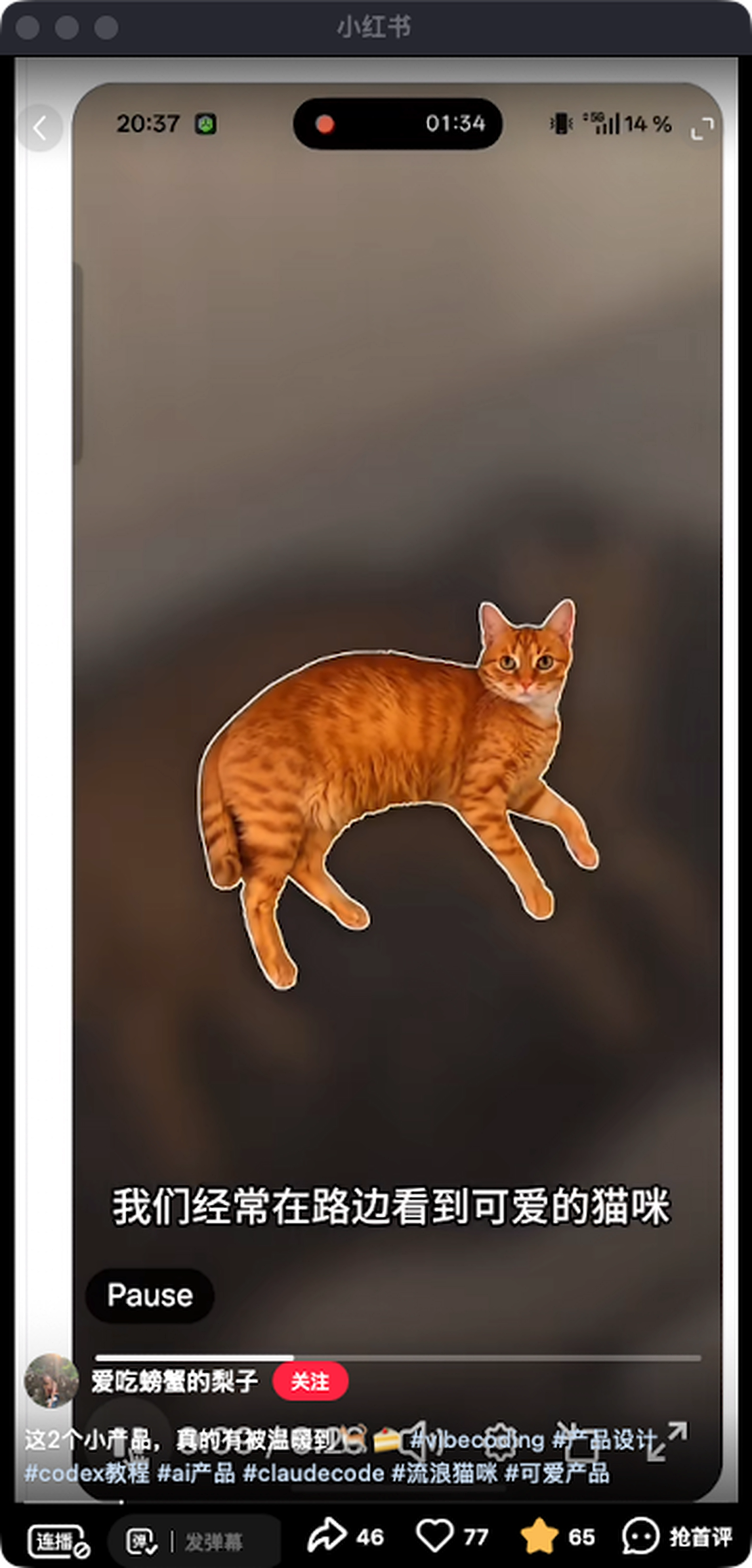 zsxq_e07fce74291225_02.png